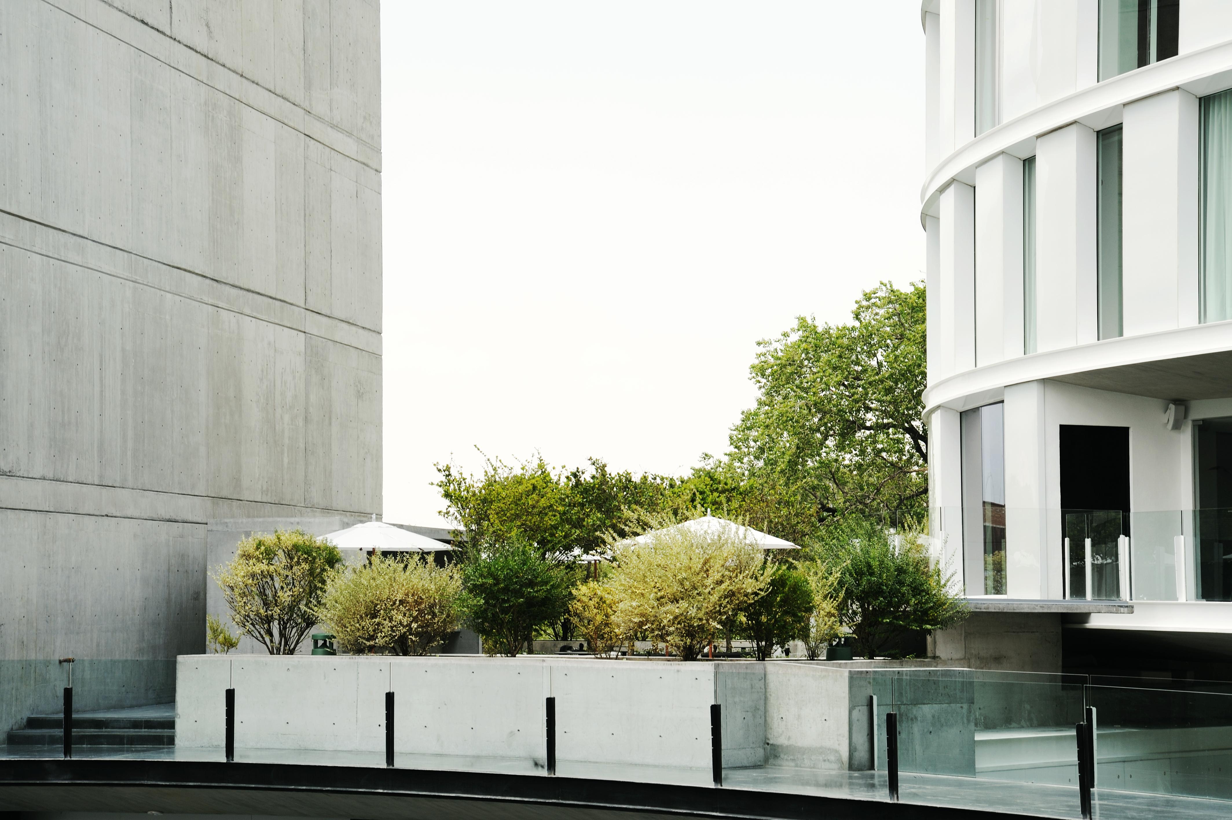 Habita Monterrey, A Member Of Design Hotels Servicios foto